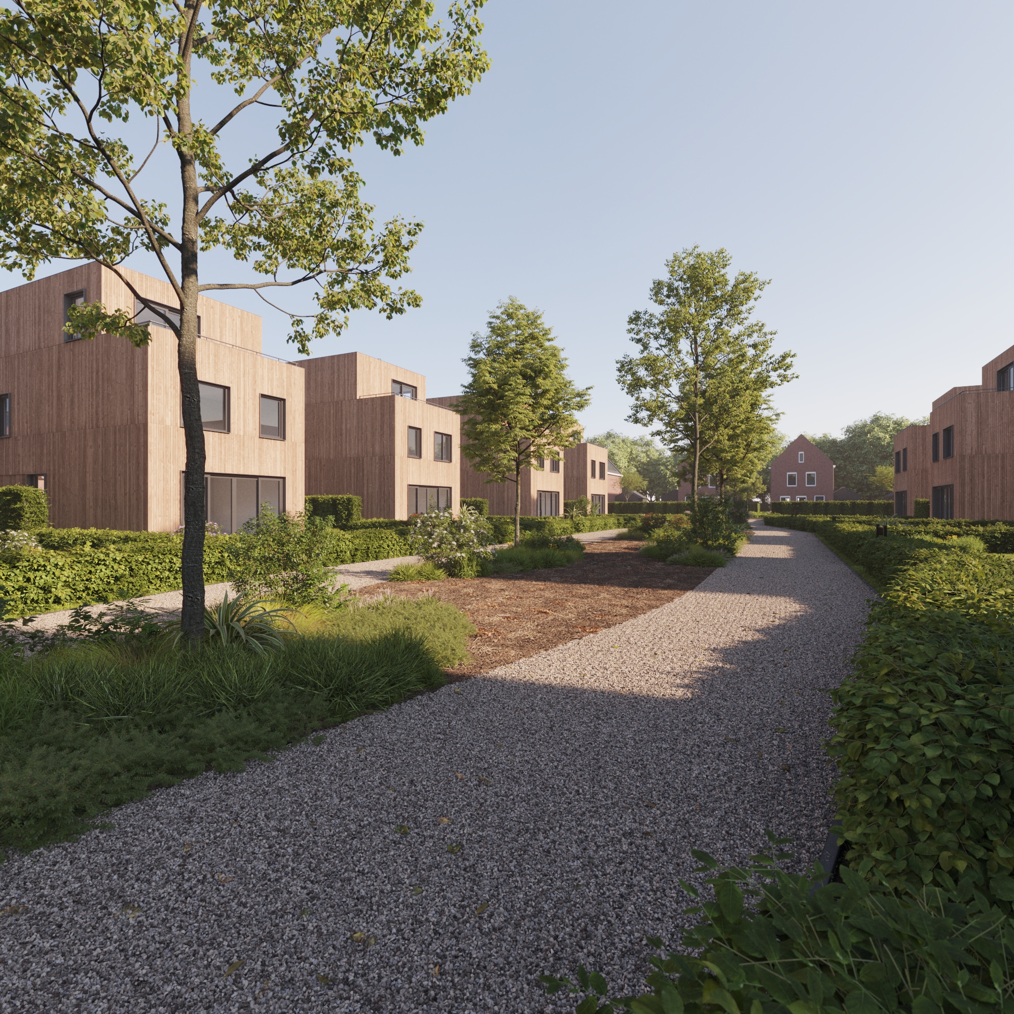 Groene laan tussen houten woningen bij zonsondergang